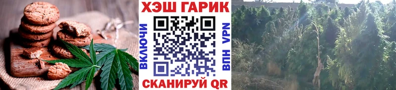 Еда ТГК конопля  купить наркоту  Горячеводский 