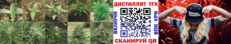 продажа наркотиков  Горячеводский  Дистиллят ТГК вейп с тгк 