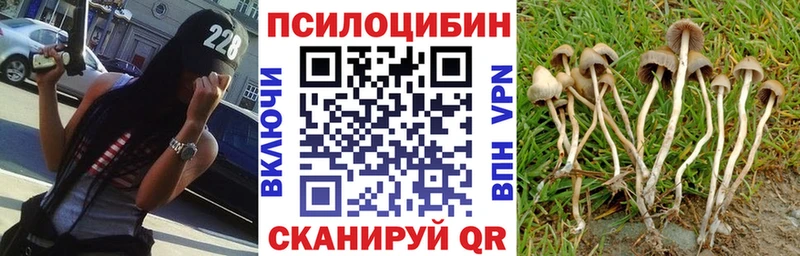 Галлюциногенные грибы GOLDEN TEACHER  купить наркоту  Горячеводский 